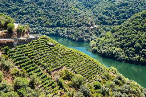 excursiones desde lugo|Excursión Ribera Sacra